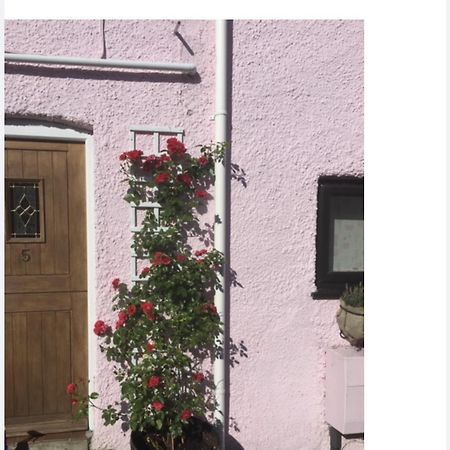 Red Rose Cottage Cheddar Eksteriør billede